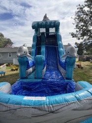19ft20Dolphin20Front 1758773295 19ft Dolphin Splash Slide