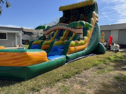 18ft Tropical Dual Lane