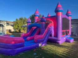 Purplish Dual Lane Combo